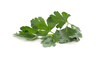 Flat Parsley 100g FI 1cl