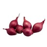 Pickled red onion 20-40mm 5kg EG 2cl